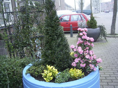 Foto 17 uit opzomeren 2005