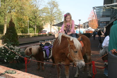 Foto 281 uit Halloween1-11-2014