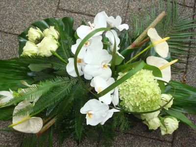 Foto 47 uit NeelyshaBloemen