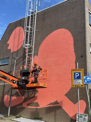 Foto 59 uit All Caps Muurschilderingen Beverwaard 2026