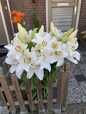 Foto 319 uit Rondje Beverwaard 2026