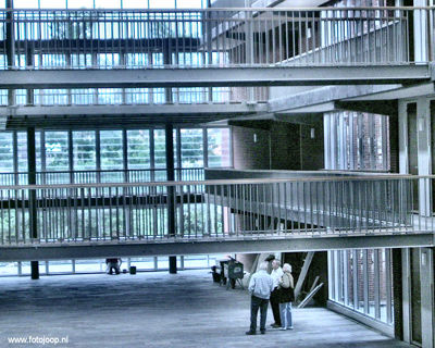 Foto 20 uit wijkfeest de dijk new