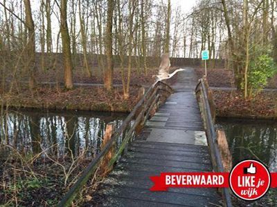 Foto 124 uit LIKEJEWIJK FOTO'S_3