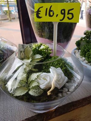 Foto 67 uit NeelyshaBloemen