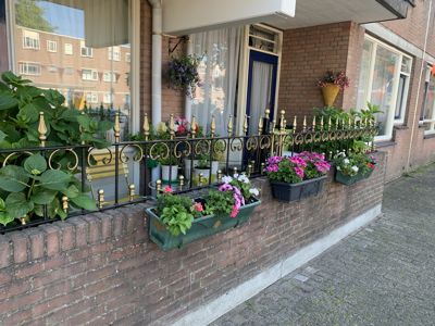 Foto 274 uit StratenBEVERWAARD