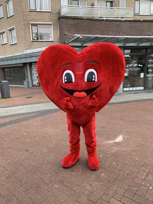 Foto 30 uit Maak de Wijk11-10