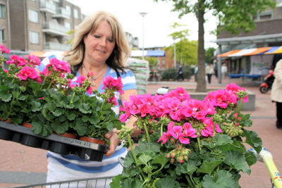 Foto 94 uit OpzoomerenPlantjes