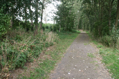 Foto 182 uit StratenBEVERWAARD