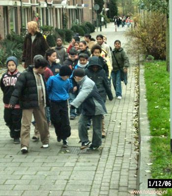 Foto 6 uit bloembollen planten