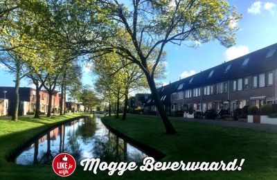 Foto 114 uit LIKEJEWIJK-2016