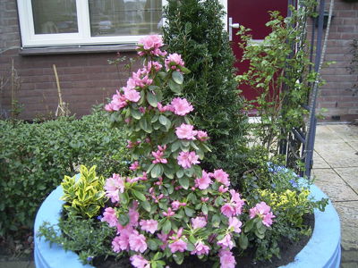 Foto 16 uit opzomeren 2005