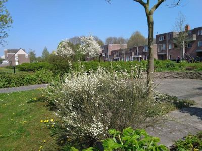 Foto 171 uit TropischeTuin 2017