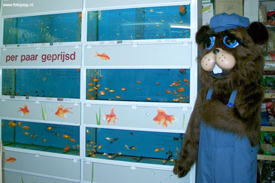 Foto 219 uit BramBeverBeverwaard