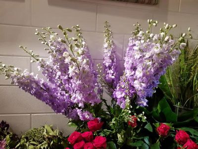 Foto 33 uit De Bloemenboetiek