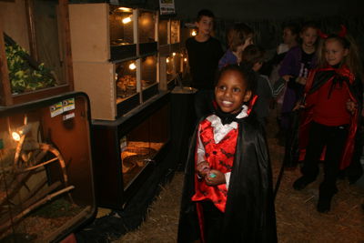 Foto 253 uit HaLLoWeeN29_10_11