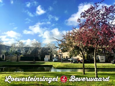 Foto 113 uit LIKEJEWIJK-2016