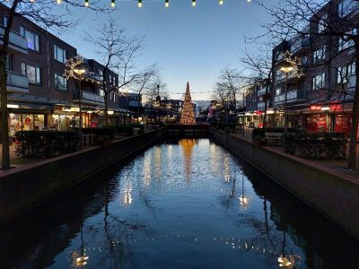 Foto 4 uit Grote Kerstboom WC