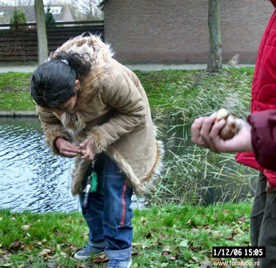 Foto 73 uit bloembollen planten