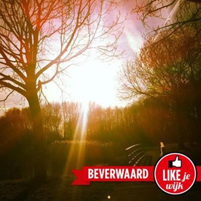 Foto 674 uit LIKEJEWIJK FOTO'S_2