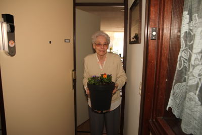 Foto 29 uit Plantjes Ijselburgh