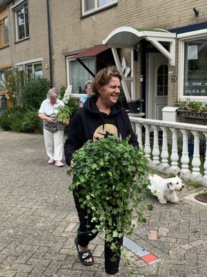 Foto 2 uit PlantenAlerdincksingel