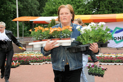 Foto 55 uit OpzoomerenPlantjes