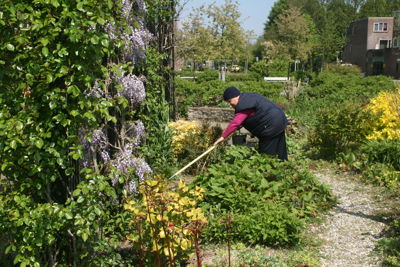 Foto 287 uit TropischeTuin 2017