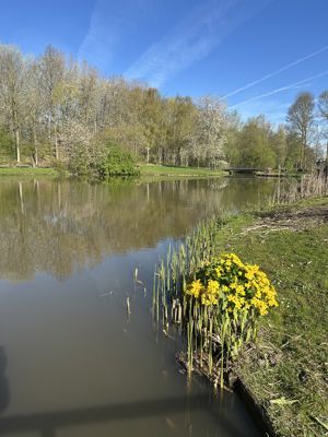 Foto 197 uit Rondje Beverwaard 2026