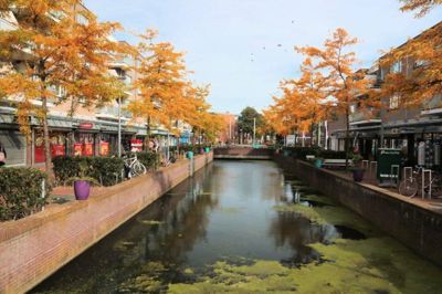 Foto 44 uit Herfst In Beverwaard