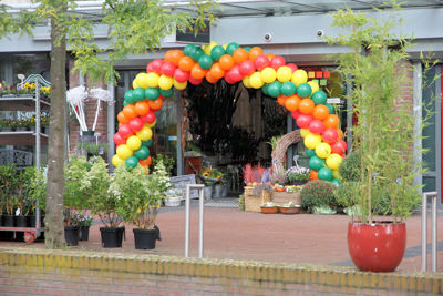 Foto 20 uit 1Jaar Bloemenzaak