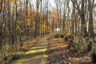 Foto 106 uit Herfst In Beverwaard