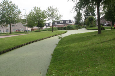 Foto 65 uit StratenBEVERWAARD