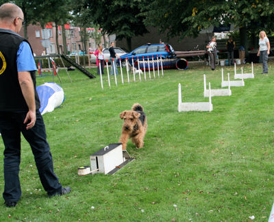 Foto 132 uit Wijkfeest12-09-2009