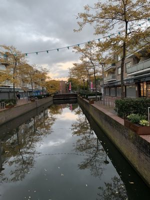 Foto 395 uit Rondje Beverwaard 2026