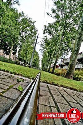 Foto 238 uit LIKEJEWIJK FOTO'S_2