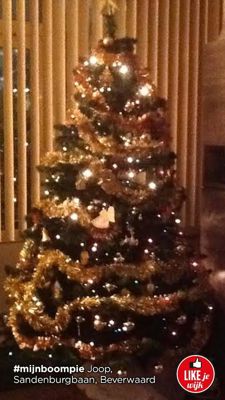 Foto 588 uit LIKEJEWIJK FOTO'S_2