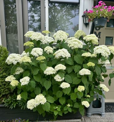 Foto 280 uit Rondje Beverwaard 2026