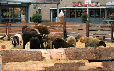 Foto 22 uit Sinterklaas 2009B.W