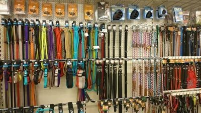 Foto 13 uit Dieren Zaak Catdox