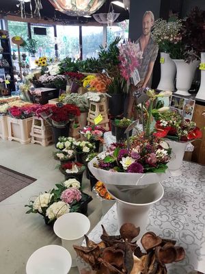 Foto 312 uit NeelyshaBloemen