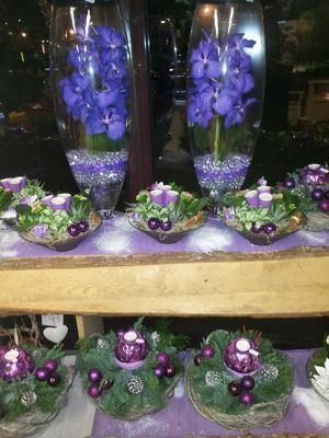 Foto 323 uit NeelyshaBloemen