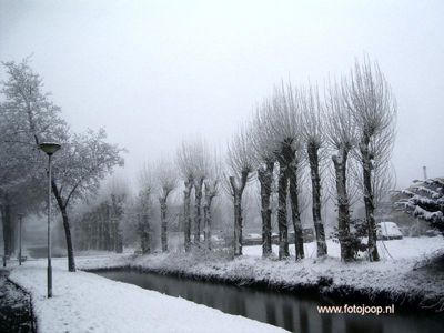Foto 48 uit WinterIn Beverwaard