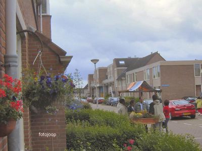 Foto 13 uit opzomeren 2005