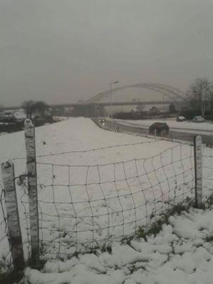 Foto 363 uit SloopEnOpbouwWIJK