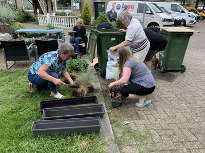 Foto 6 uit PlantenAlerdincksingel