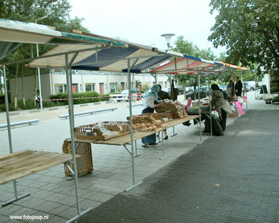 Foto 101 uit 16_06 susannadijk