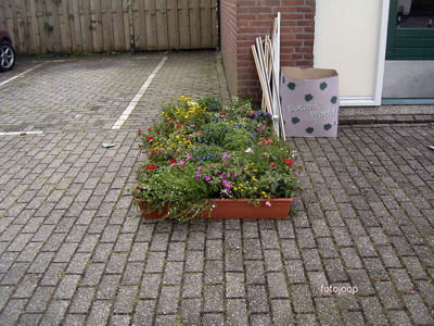 Foto 35 uit opzomeren 2005