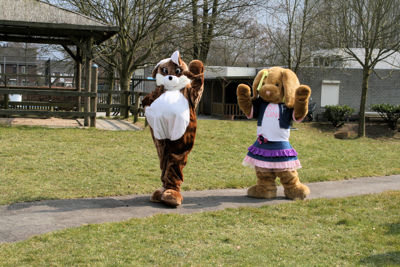 Foto 32 uit PaasHaasStormpolder