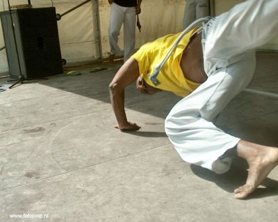 Foto 3 uit 15_06 susannadijk