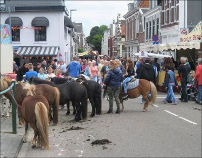 Foto 40 uit Paardenmarkt29-6